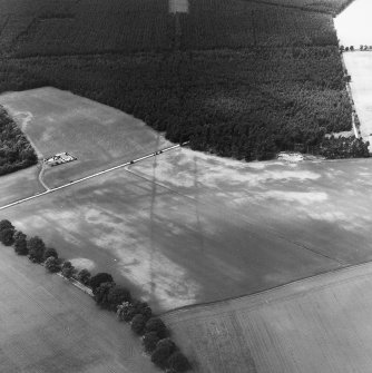 Oblique aerial view centred on cropmarks of the cursus with other cropmarks adjacent.