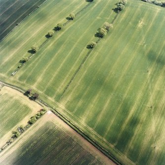 Oblique aerial view centred on the cropmarks of the Roman temporary camp with the rectilinear enclosure adjacent, taken from the NW.