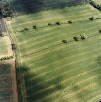 Oblique aerial view centred on the cropmarks of the Roman temporary camp with the rectilinear enclosure adjacent, taken from the SW.