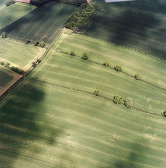 Oblique aerial view centred on the cropmarks of the Roman temporary camp with the rectilinear enclosure adjacent, taken from the SSW.