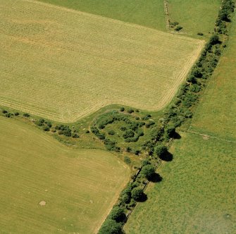 Oblique aerial view of the remains of the henge at Culbokie.