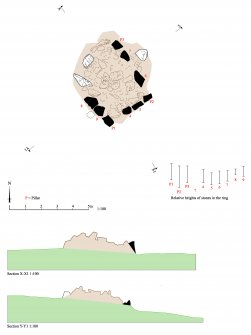 HES Survey and Recording Illustration: Plan and sections of Raich four poster.
