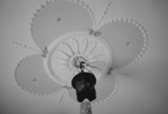 Ceiling decoration, Erchless Castle, Struy, Highland