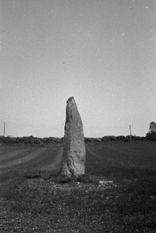 Standing Stone, Balblair Distillery, NH 708851, Edderton parish, Ross and Cromarty, Highlands