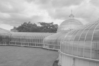 Kibble Palace, Botanic Garden, Glasgow, Strathclyde