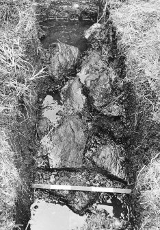 Dyke 3 - stones at the core of a peat and cut turves bank in Cutting 1.