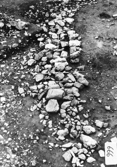 Kebister excavation archive
37 negatives of the settlement (Area II, III & IV):  
1-2: Area III - SE face of wall 812.
3-8: Area II - contexts 1194, 1213, 1211 & 782.
9-21: Area III - contexts 882, 879, 887, 884 & wall elevations for 847, 885, 884 & 847.  
22-37: Area II/IV - general overviews, plus detail of contexts 1330, 1340, 1219 & 1089.