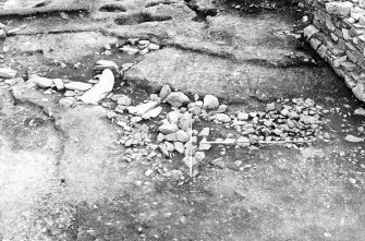 Kebister excavation archive
6 prints, including 1 colour, of the teind barn, structure 2 (Area II), ard marks (Area V) and the drain complex (Area VI).