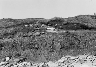 Photographic survey of cliff section: Cutting 5 before excavation.