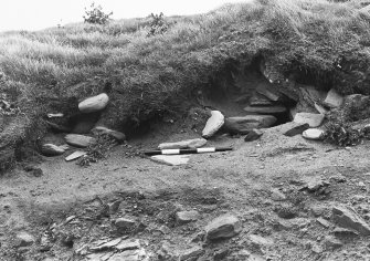 Photographic survey of cliff section: Detail of Cutting 6.