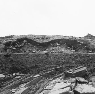 Cutting 5: After the hurricane - erosion.