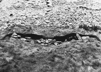 Cutting 5: Trench looking west.