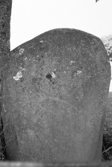 Photograph of standing stone in Rhynie Square.