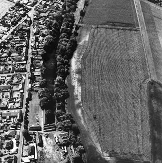 Friockheim, oblique aerial view, taken from the NE, centred on the cropmarks of pit-alignments and pits. Friockheim is visible in the left half of the photograph.