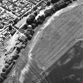 Friockheim, oblique aerial view, taken from the NE, centred on the cropmarks of pit-alignments and pits.