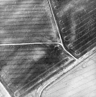 Inverpeffer, oblique aerial view, taken from the N, centred on various linear cropmarks.