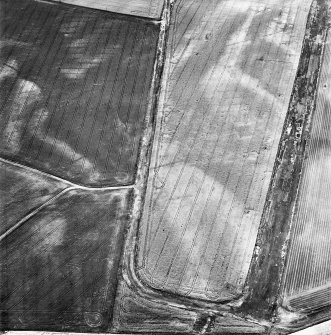 Inverpeffer and East Haven Airfield, oblique aerial view, taken from the NNE, centred on various linear cropmarks. Cropmarks of a possible rectilinear enclosure and rig are visible in the centre left of the photograph, and a disused runway runs up the right half.