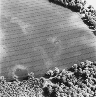 Rossie and Falcon Stone, oblique aerial view, taken from the W, centred on cropmarks including those of a ring-ditch. The edge of a barrow cemetery is visible in the centre left of the photograph.