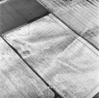 Oblique aerial view of the cropmarks fo the rig, possible enclosure and possible sunken floored building, looking N.