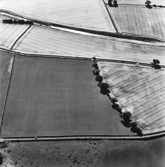 Newstead, oblique aerial view, taken from the N, centred on the Roman fort and the western and southern annexes. The Newstead by-pass (under construction) is visible in the top half of the photograph.

