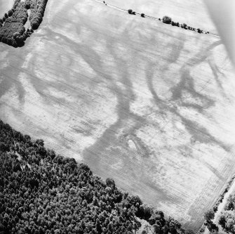 Carsie Mains, oblique aerial view, taken from the NE, centred on a complex of cropmarks including pit features, ring-ditches and linear cropmarks.