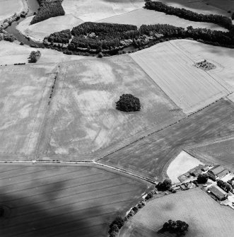 Oblique aerial view centred on the cropmarks of an enclosure and trackways with round house, enclosure, pits, cultivation remains, pit-alignment long barrow, square barrow and plantation bank adjacent, taken from the WNW.