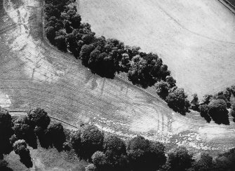 Oblique aerial view.