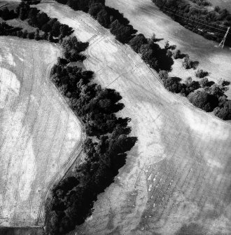 Oblique aerial view.