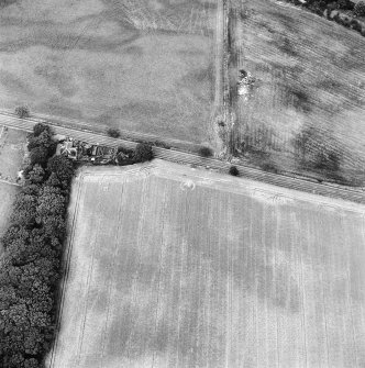 Oblique aerial view centred on the cropmarks of the ring-ditch with lodge adjacent, taken from the SSE.
