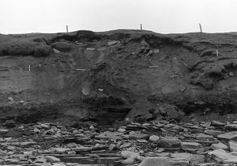 Photograph showing coastal erosion of structural features.