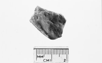 House 5. Small Find 231. Stone (later rejected as small find).