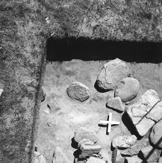 Area 1: West edge of Cairn 17, far southern part._Vertical photograph. (Cairn 2)