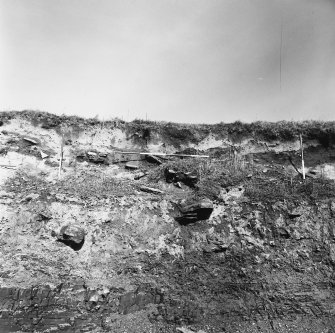 Area 2: cliff section, prior to excavation.