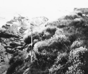 Area V 1980 excavation photograph.  F  - Oblique.