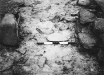 Area V 1980 excavation photograph.