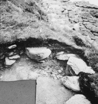 Area V 1980 excavation photograph.