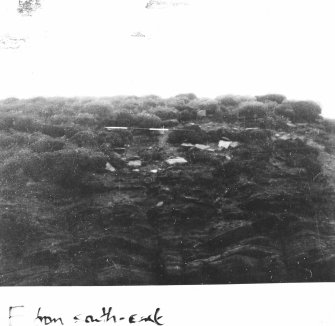 Area V 1980 excavation photograph.  F - From SE.