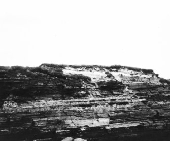 Area V 1980 excavation photograph.