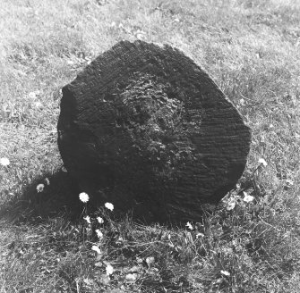 Excavated carved stone displayed in churchyard.