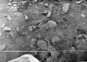 Excavation photograph (see the Black & White Register, 2nd book of MS/139/4).