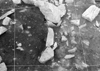 Excavation photograph (see the Black & White Register, 2nd book of MS/139/4).