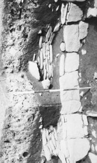 Excavation photograph: Wheel house out buildings; circular byre.
