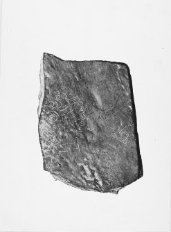 Publication Photograph: Incised portrait and hen on slate.