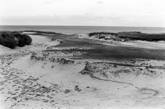Guardianship area (central): linear scar of exposed raised beach with marram growth against an erosion face (to left) from S.