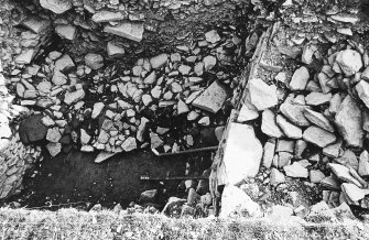 Excavation photograph : trench D & Dx - after L128 removed - photogram - E71-73,N88-90.

(see MS/682/120 for detailed description)