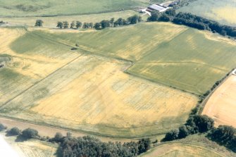 Aerial view of Tarradale, Black Isle, looking SW.