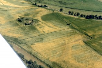 Aerial view of Tarradale, Black Isle, looking SE.