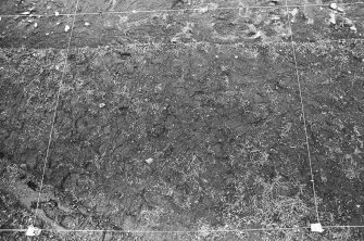 Excavation photograph : trench G - photogram - L1 removed - E66-68, N57.5-58.

