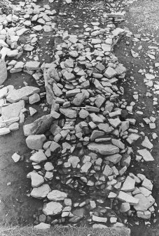 Excavation photograph : trench AG - general view after removal of topsoil.

(see MS/682/120 for detailed description)