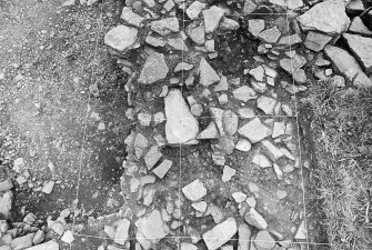 Excavation photograph : trench ABHJ baulk - photogram - after topsoil removed - E74-76, N68-70.

(see MS/682/120 for detailed description)